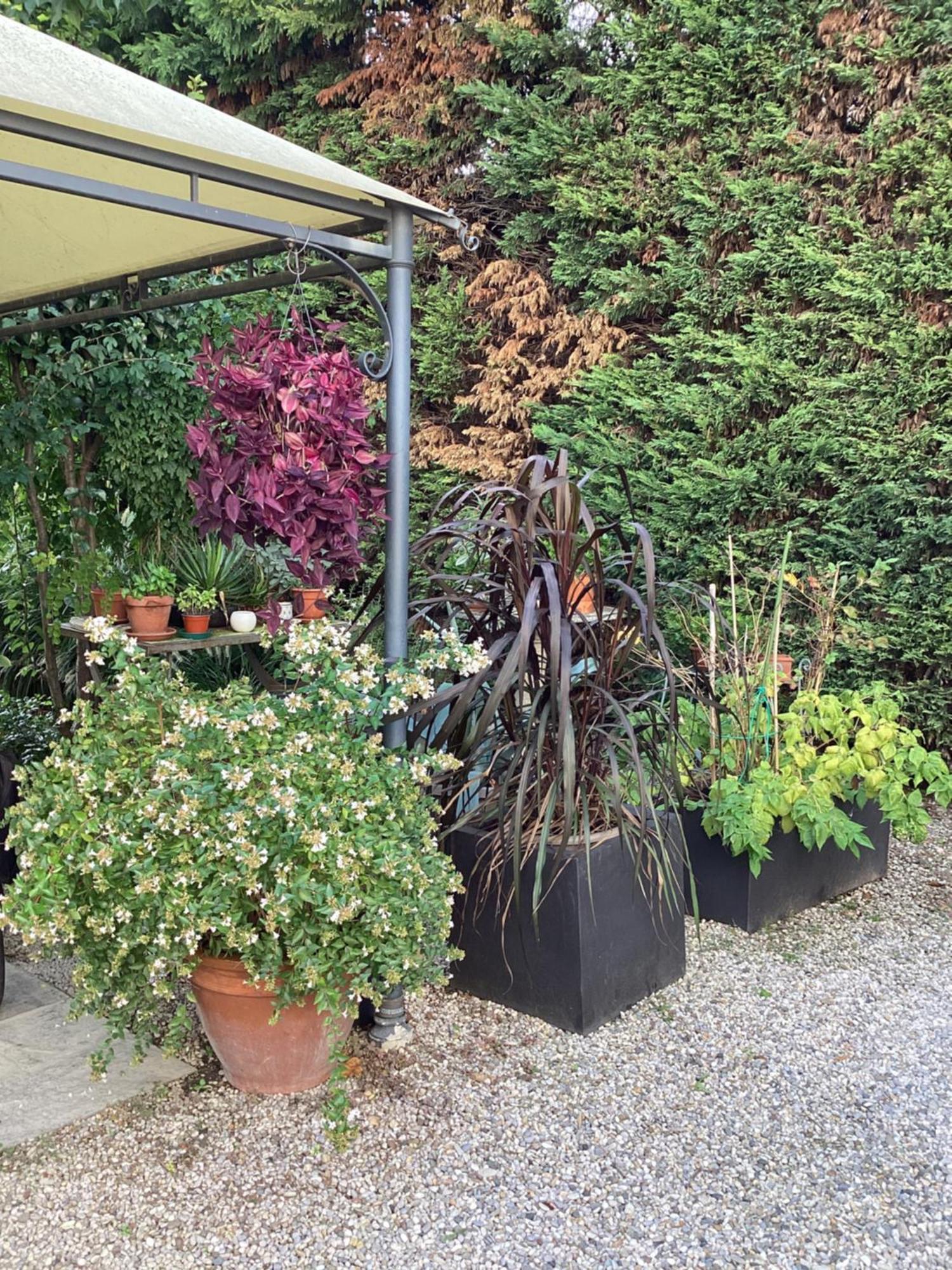 Il Villino Della Duchessa Bed & Breakfast Parma Eksteriør bilde
